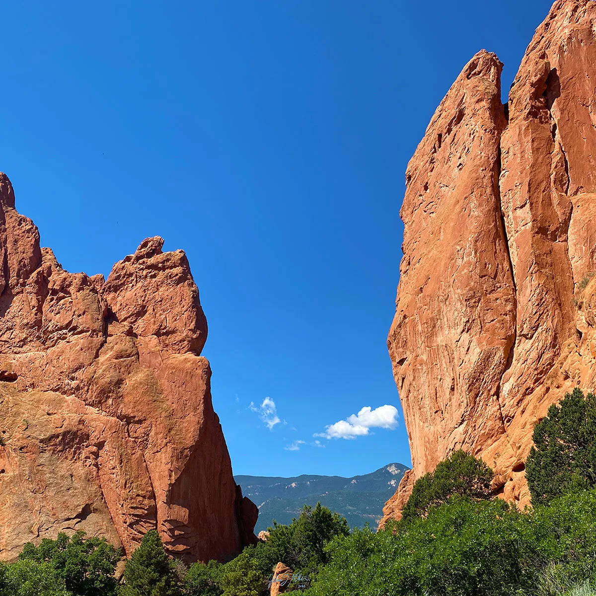 Garden of the Gods - Fall/Winter 2021