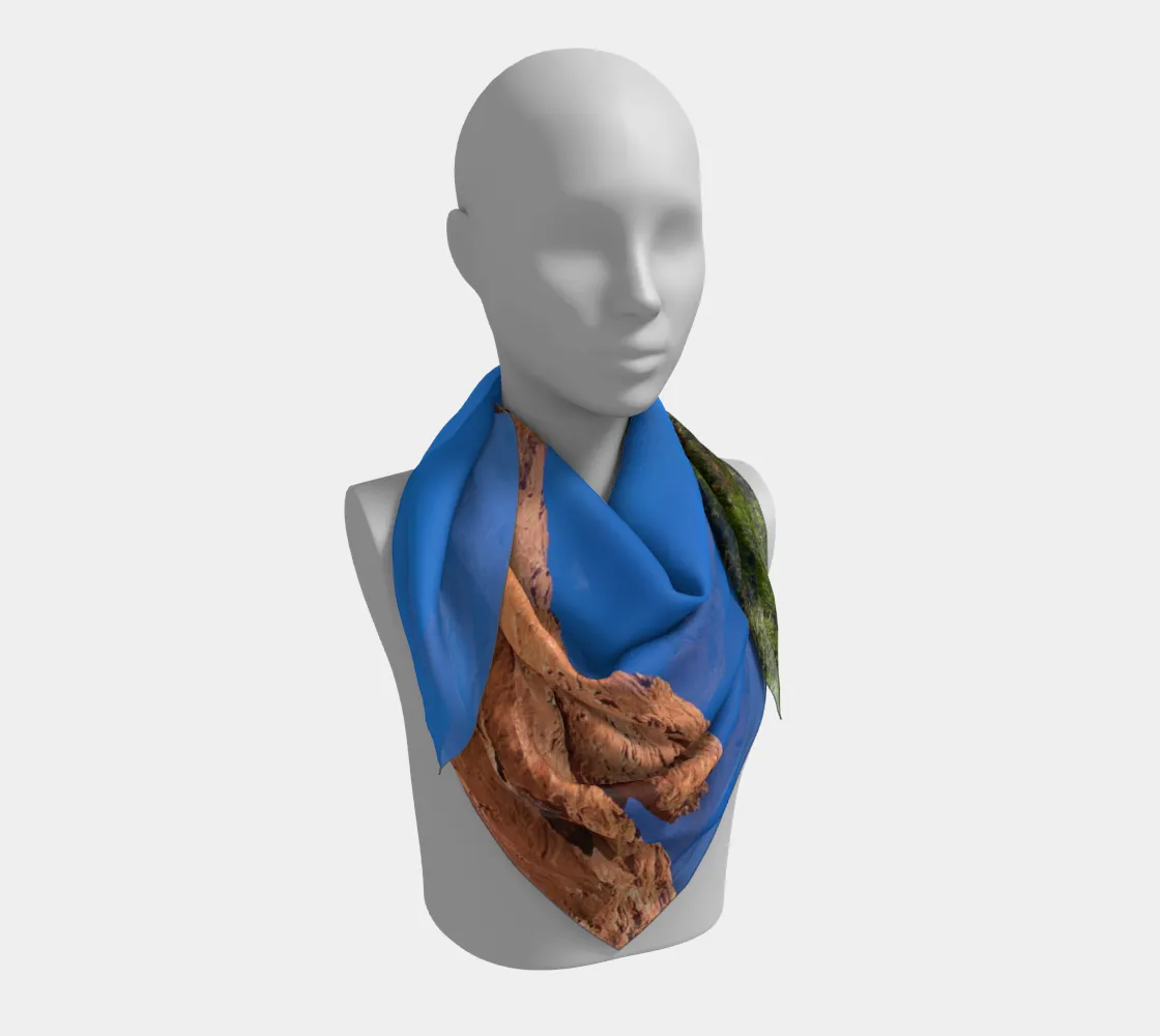 Garden of the Gods - Fall/Winter 2021